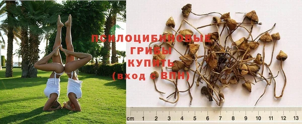винт Магадан