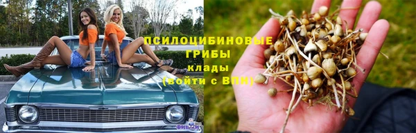 винт Магадан